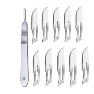 IMG_20240918_213419_177